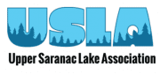 USLA old logo